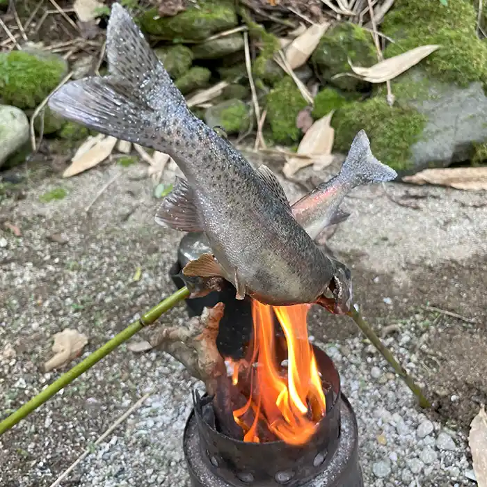 川魚の写真