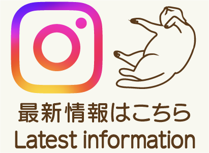 インスタグラムへのリンク