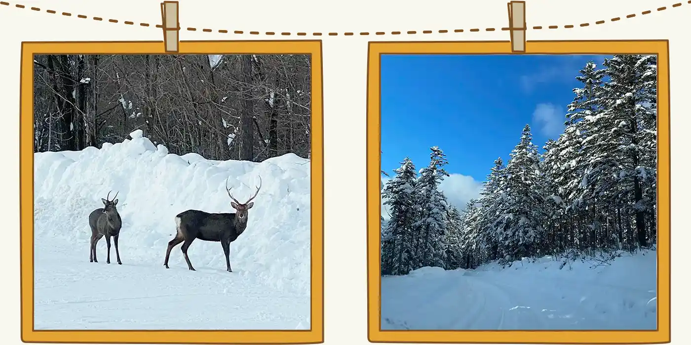 slide_winter